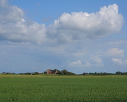 19 01685c Feld