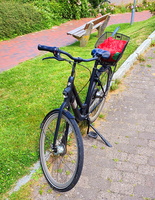 22 43944c Gazelle