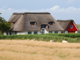 26 01529c Haus