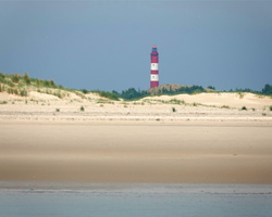 82 00988c Amrum