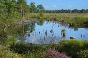 27 4395b Pietzmoor