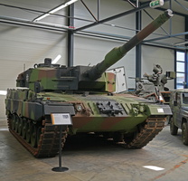 61 5764b Leopard