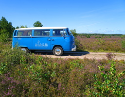 67 6131b HeideBulli