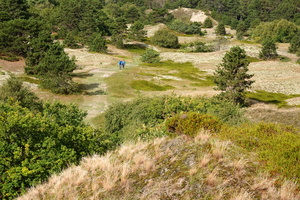 06 2181b Duenen