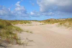 09 2219b Duenen