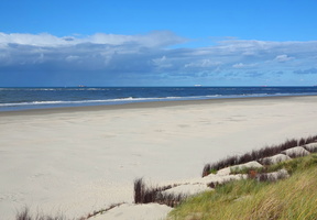 13 2312b Strand