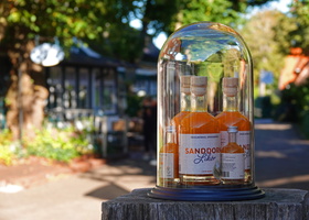 31 2759b Inselwinkel Sanddorn