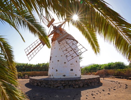 50 11566b Molino